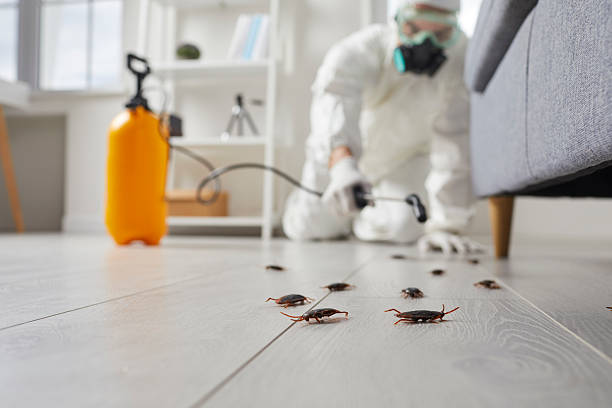 Commercial Kitchen Cockroach Control in Beloit
